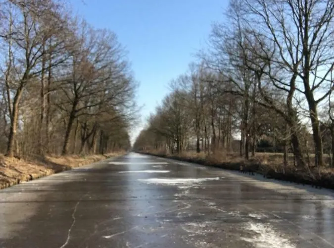 Jahn Barssel (Cloppenburg)